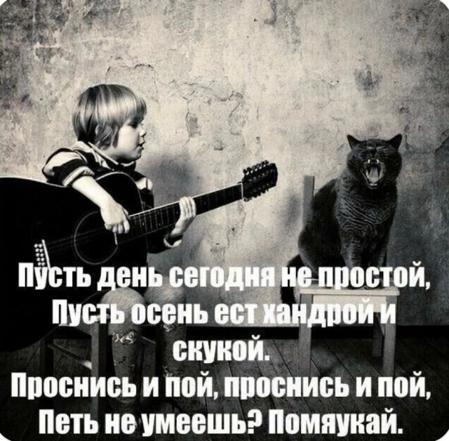 Так себе картинки 02.11.25