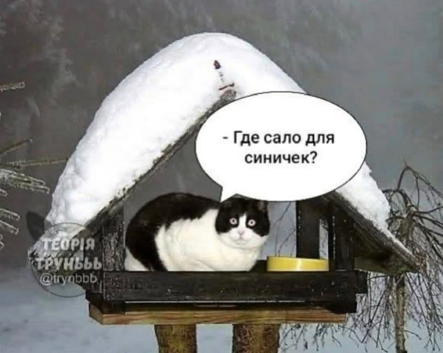 Маленькая пятница 21.01