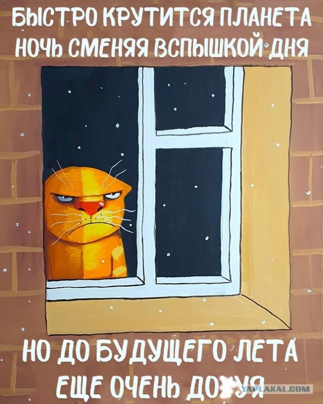 Картинки для деградации 127 (разной степени свежести)