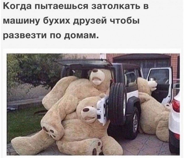 Веселые картинки и немного девушек (50 изображений)