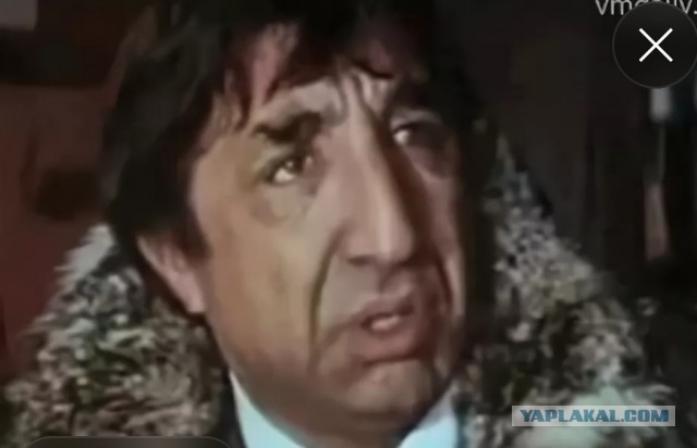 Двурогий калао, летающий носорог! Во время нашего путешествия в Таиланд.