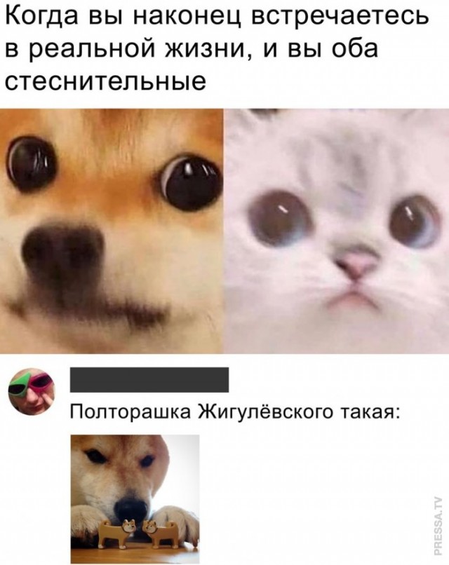 Веселые картинки в пятницу (27.03)