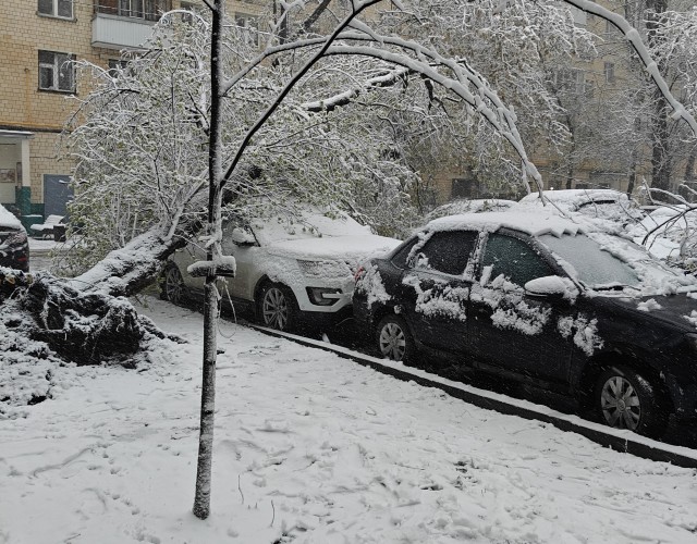 Утро в Москве