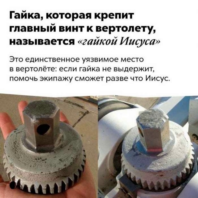 Интересные и короткие факты, на все случаи жизни