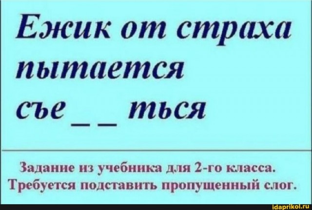 А они, гады, прячут!