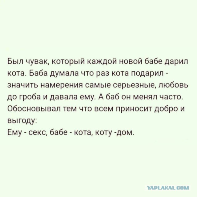 Картинки для деградации 289 (разной степени свежести)
