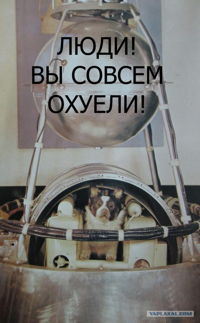 Правда о мужчинах