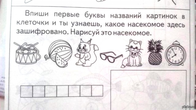 Чемпионат мира по женскому фитнесу