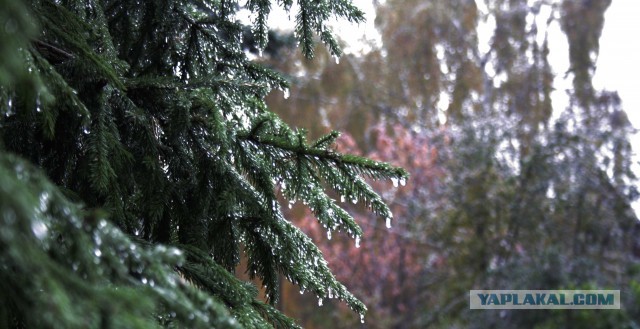В Красноярске 0°