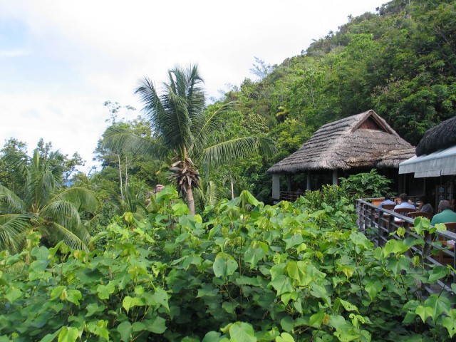 Как я съездил на Сейшелы