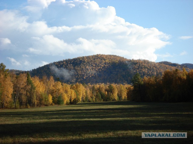 Сибирь настоящая