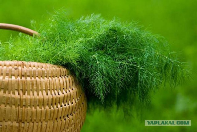 Домик сыну на день рождения.