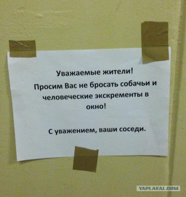 20 объявлений месяца, которыми мы гордимся