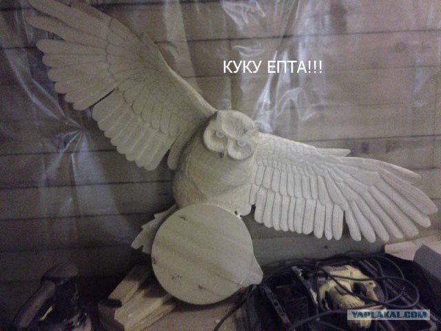 Как нарисовать сову