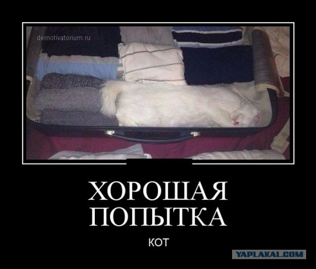 Подборка демотиваторов