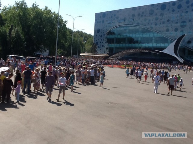 Как щуки заплыли в Москвариум на ВДНХ?