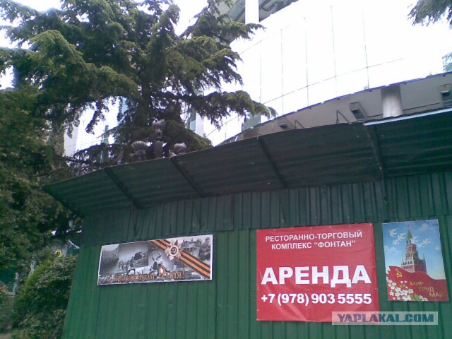 Про грязный Берлин