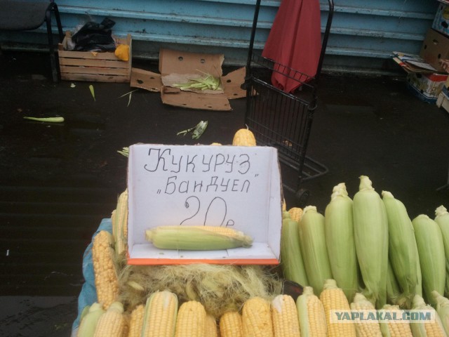 Матерые продавцы и маркетологи