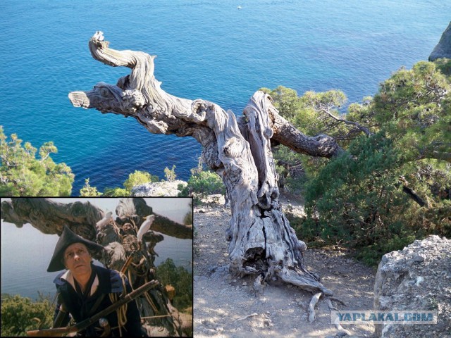 Книга "Остров сокровищ"