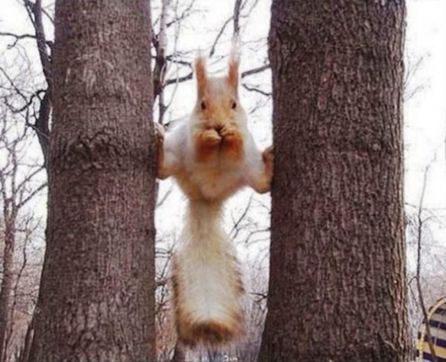 Подборка картинок 24.02.16