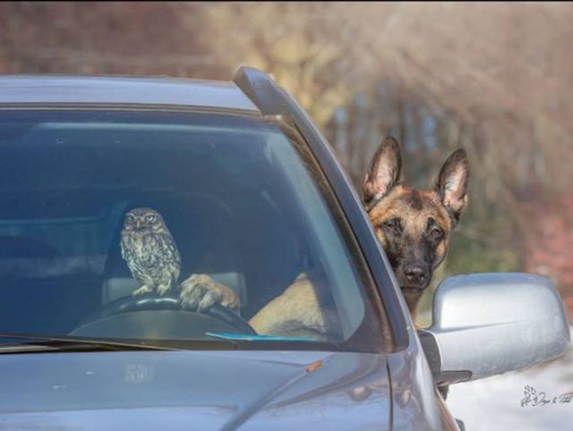 Интересные и веселые картинки