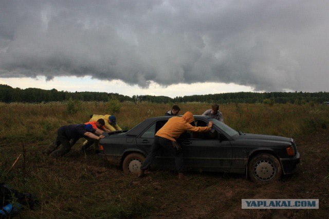 Почему автомобильные вкусы россиян такие нелогичные