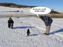 Фотожаба: Полярники окружают!