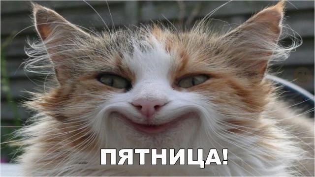 Немного пятничного, картинки и гифки