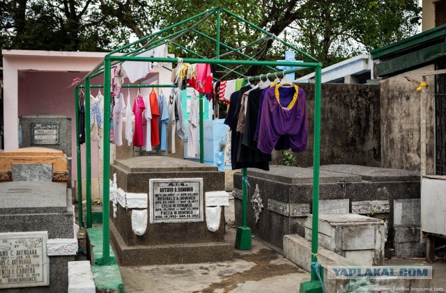 Кладбищенская принцесса: история девушки, живущей среди могил