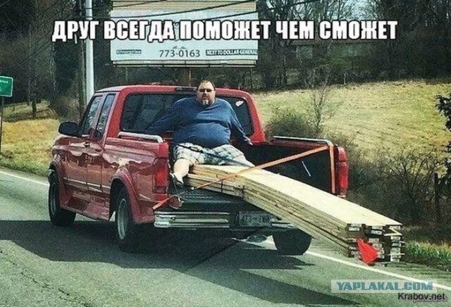 Подборка интересных и веселых картинок