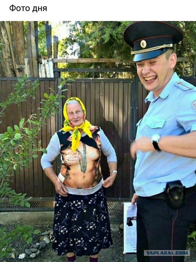 Прикольные картинки 23.06.2017.
