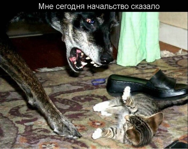 Суббота - рабский день!