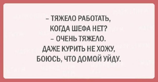 Разноцветный юмор