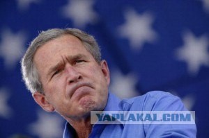 Американцы тупые. Миф или реальность?