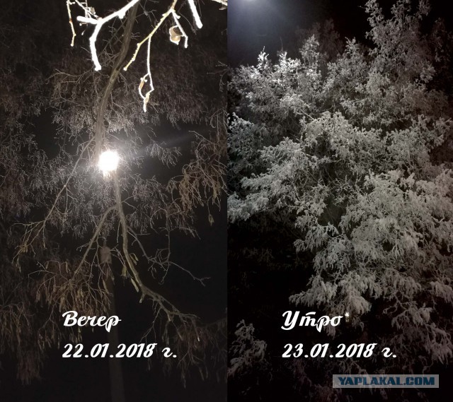 Подборка интересных и веселых картинок