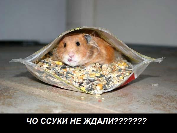 Бонус