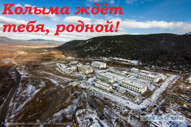 Студент сфотографировался с Путиным в майке «Навальный». Снимок опубликовал сайт Кремля