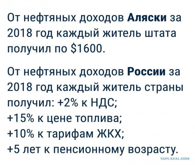Школьники в регионах РФ запустили флешмоб с надписью «Путин — вор»