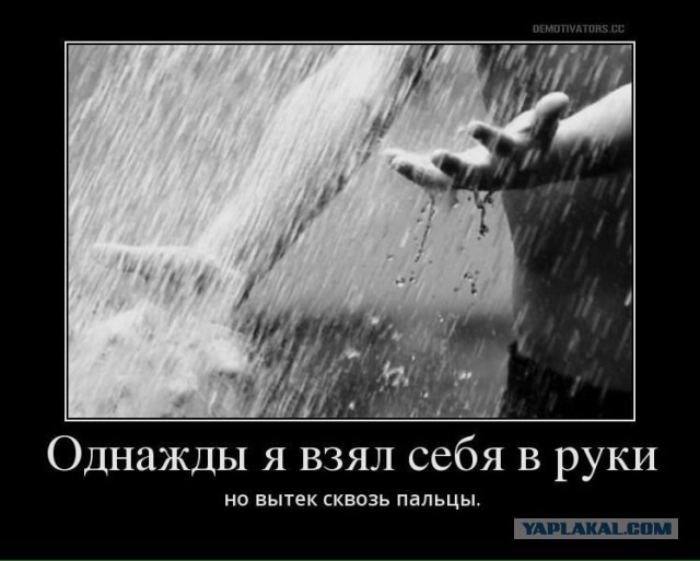 Подборка интересных и веселых картинок 28.11.18