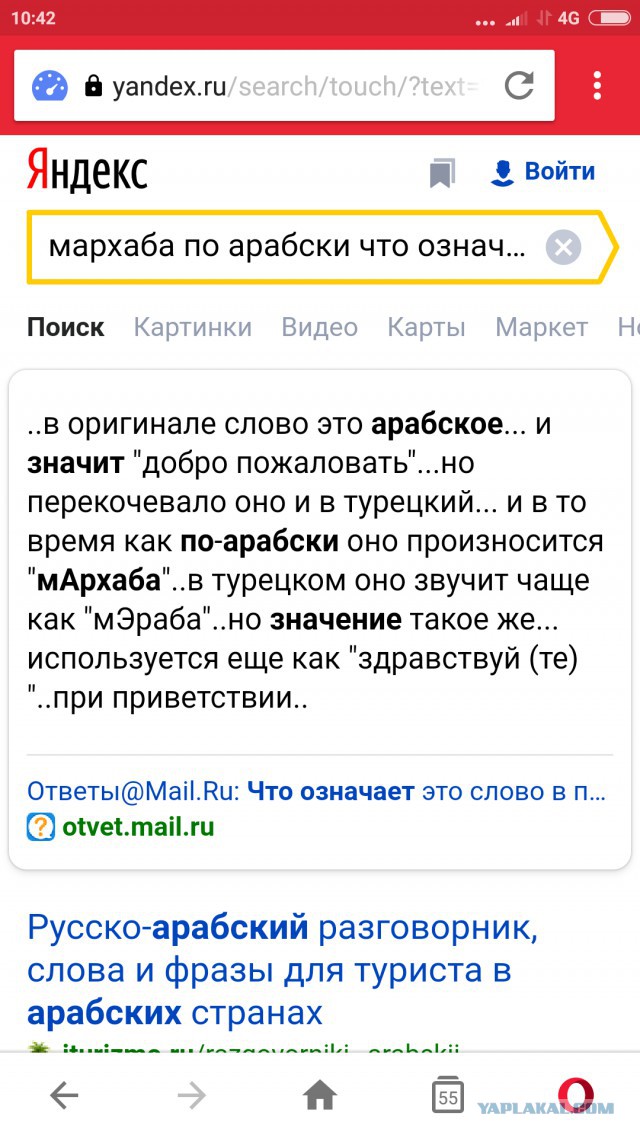 Перерезали горло и отрубили голову. В Марокко убили студенток из Европы.