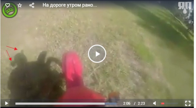Ты показал мне средний палец... Но ты сделал это без уважения...