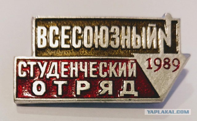 Слет студенческих отрядов
