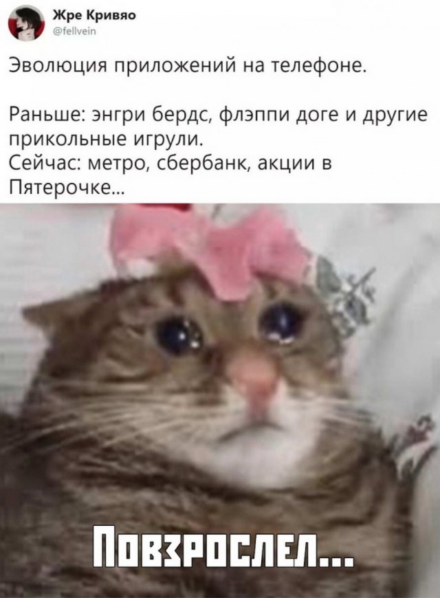 Смехопанорама