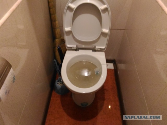 Никогда не смывайте лоток в унитаз