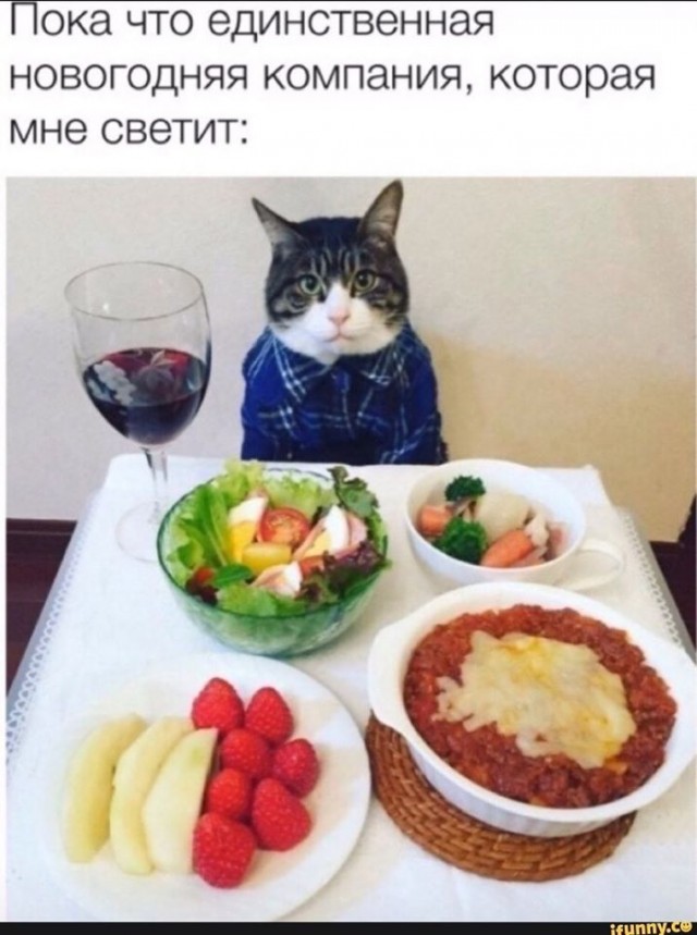 Бредзона 29.12.19