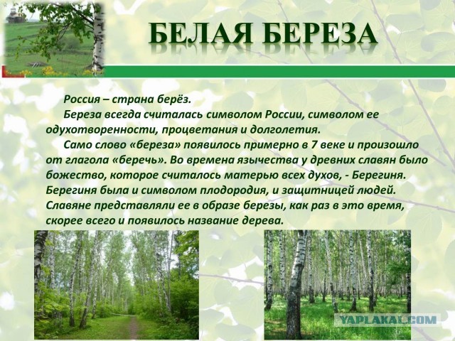 Как легко свалить в Германию