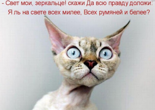 Что это за технология?