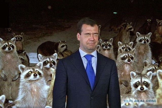 Димка мечтает