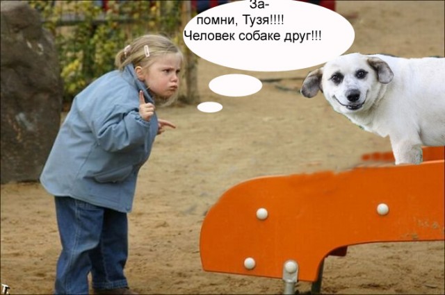 Битва Фотожаберов №7 Команда Твердого Знака