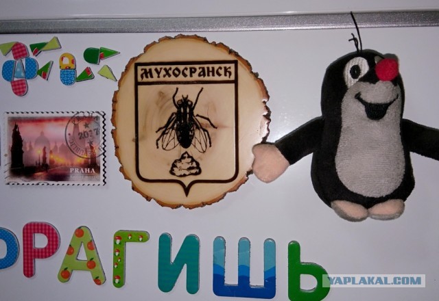 Магнит на холодильник из Мухосранска